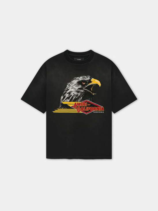 Picture of Amiri T Shirts Short _SKUAmiriS-XLmrtx210923400
